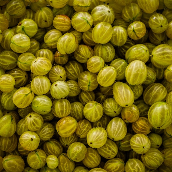 Amla