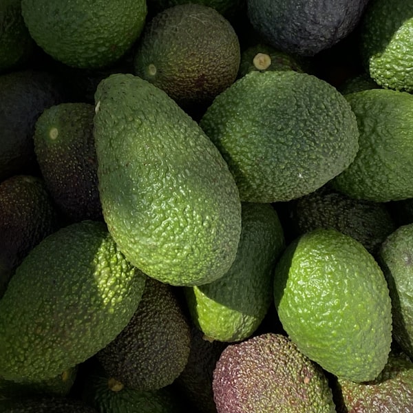 Avocado Butter